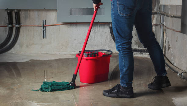 Best Mold removal after water damage  in Preston, TX