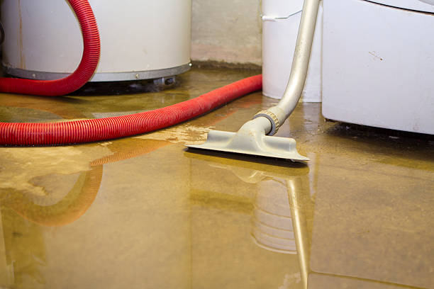 Best Mold removal after water damage  in Preston, TX